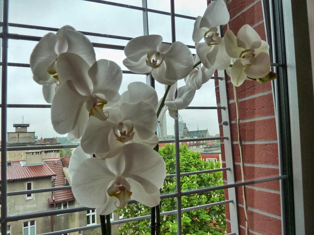 Tartaczna Deluxe Apartments Gdańsk Cameră foto